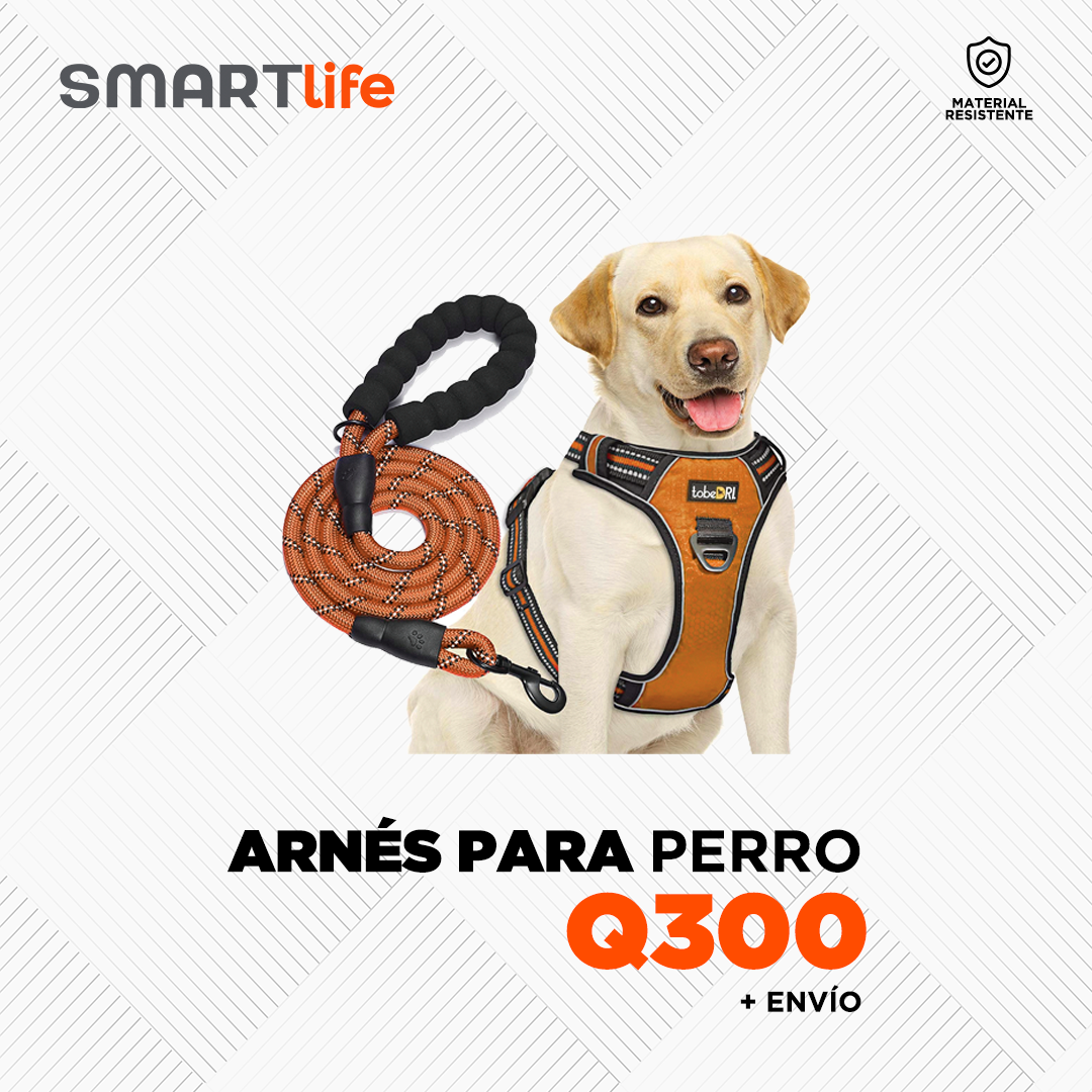 Árnes y cuerda para perro