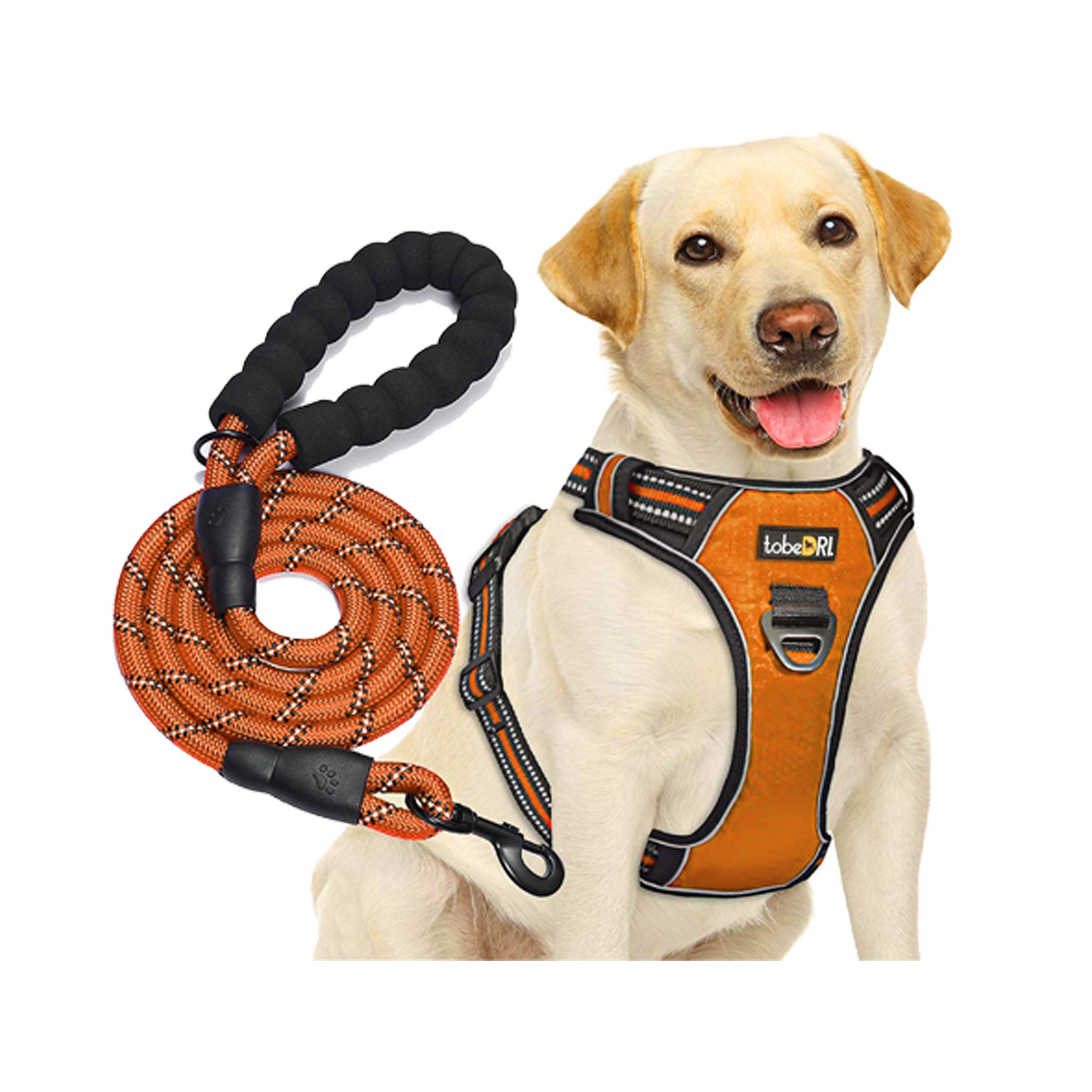 Árnes y cuerda para perro - SmartLife Guatemala