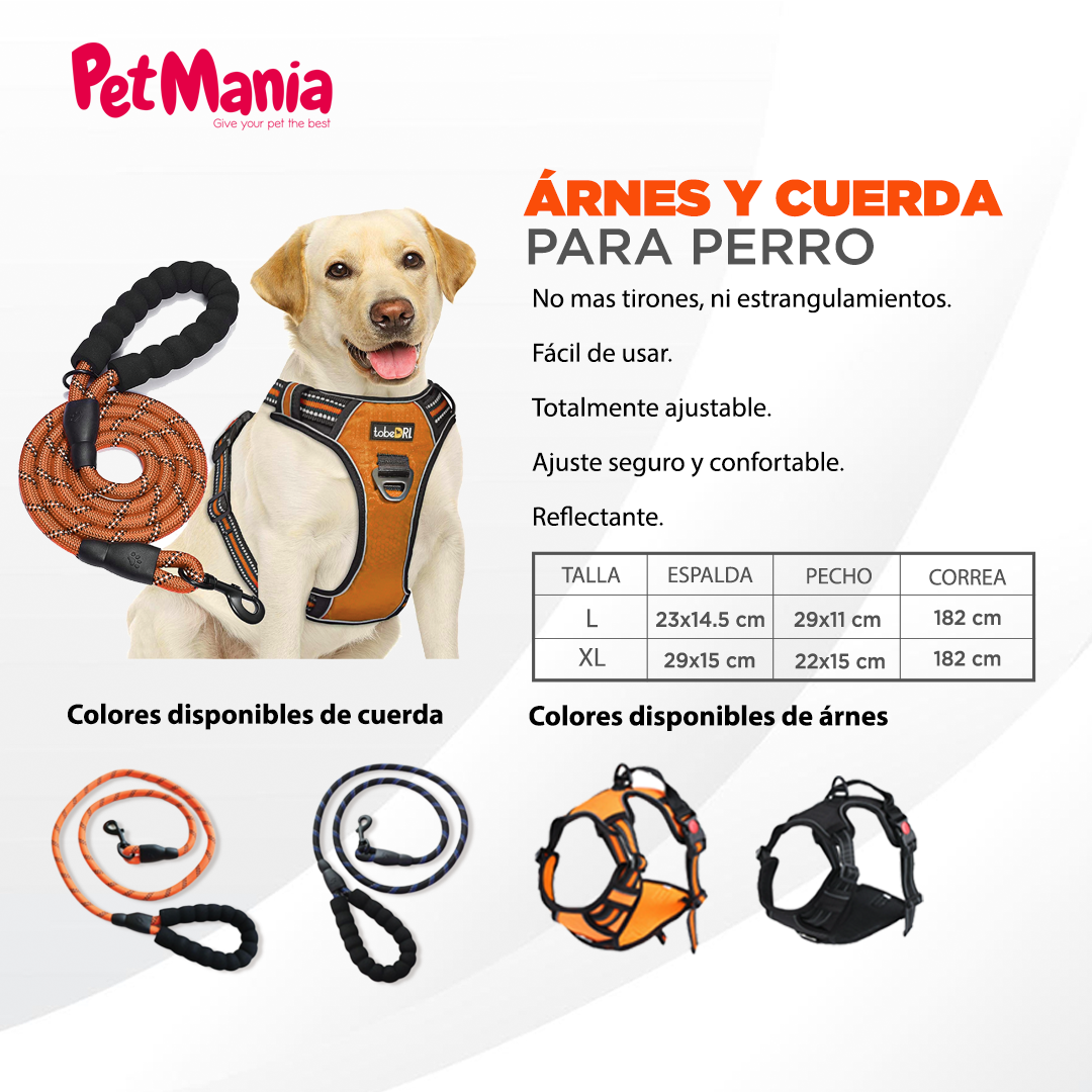 Árnes y cuerda para perro