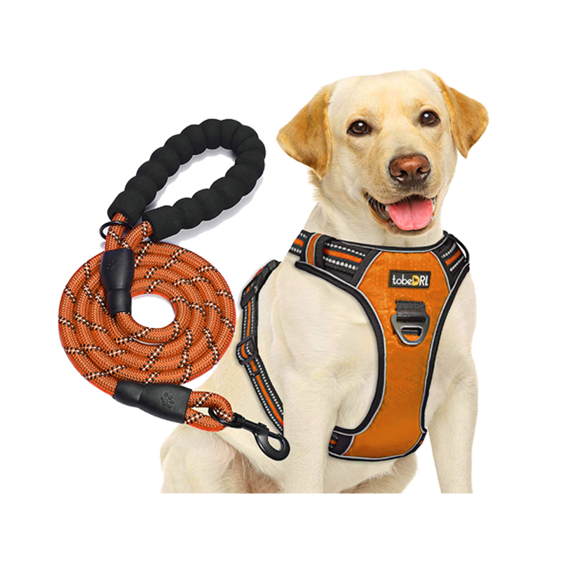 Árnes y cuerda para perro - SmartLife Guatemala